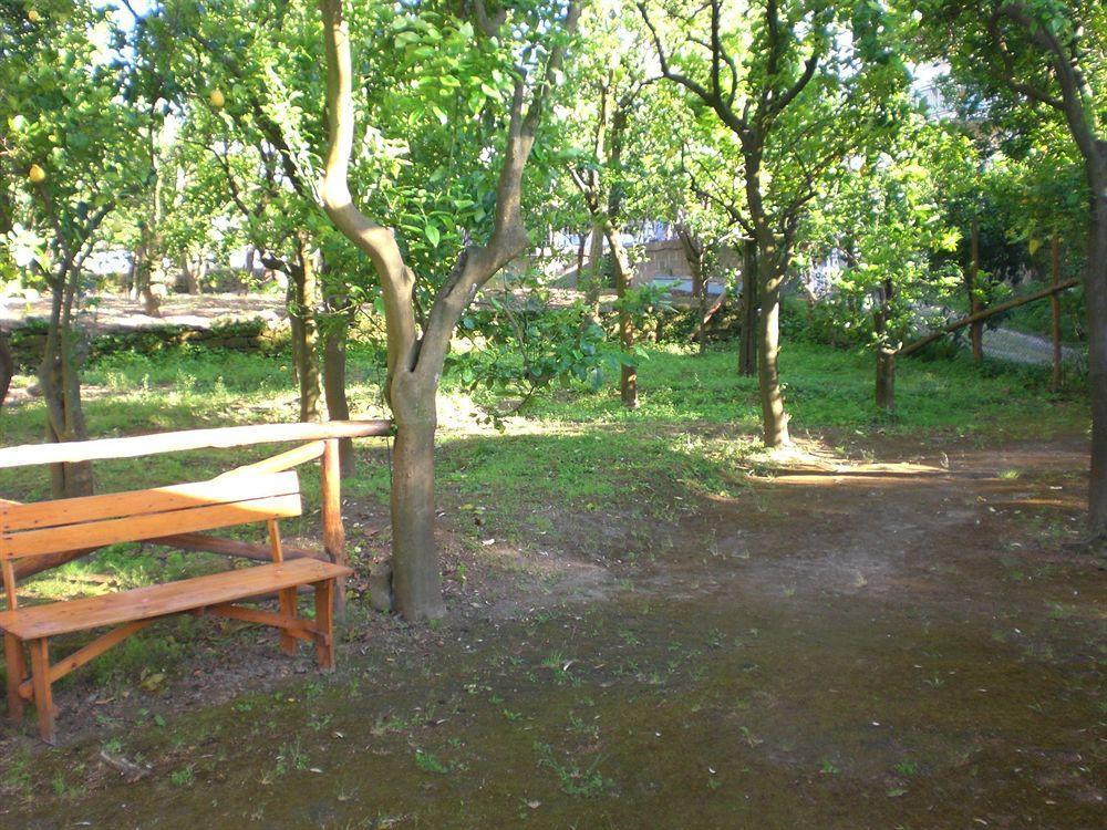 Chalet Paradiso Península Sorrentina Exterior foto